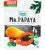 George & Stephen mr. papaya prémium aszalt papaya 50 g